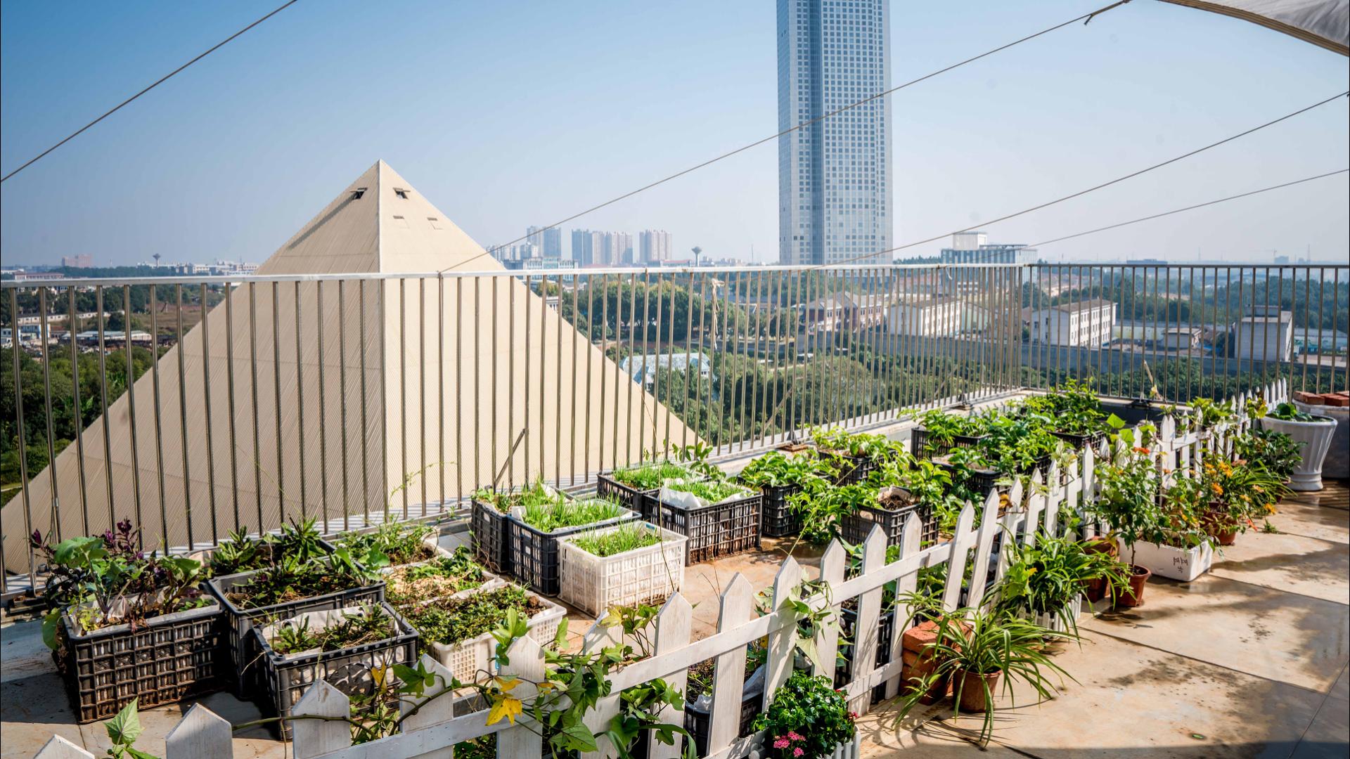 Sustainability